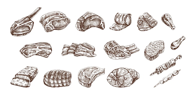 Set of handdrawn sketches of different types of meat steaks chicken kebabs bacon