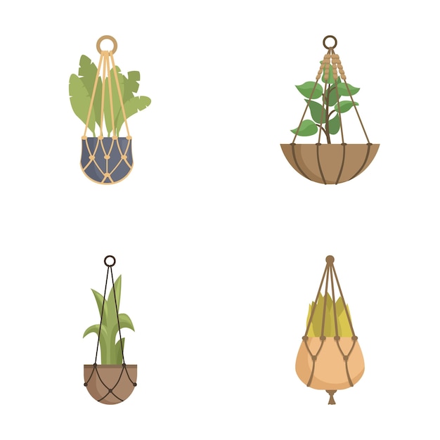 Set of hanging indoor plant illustrations