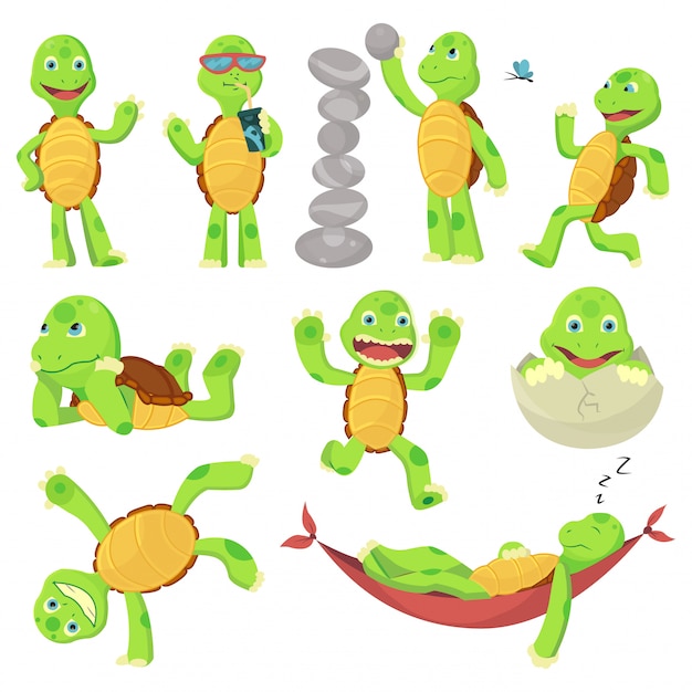 Set of happy young cartoon turtle in different poses. Fanny kid. T-shirt logo design