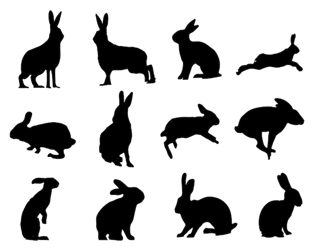 The set of Hare or Rabbit silhouette collection