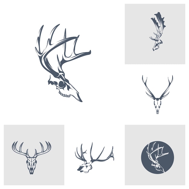 Vector set of head deer bone vector illustration design head deer logo design template