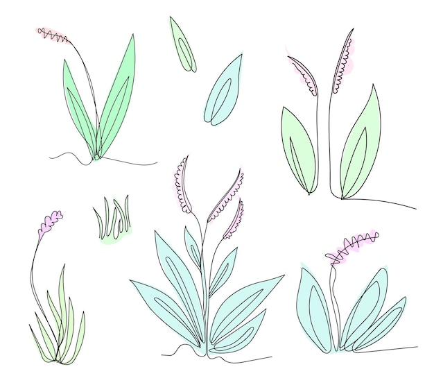 Set of herbs and field plants hand drawn in line art style Vector illustration