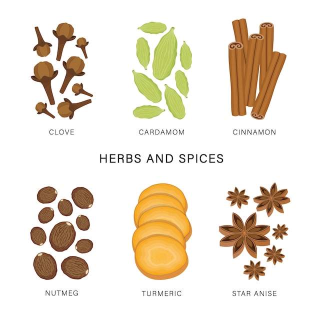 Set of Herbs and Spices. Organic and healthy food isolated element illustration.