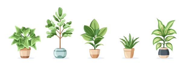 Set of home plants in pots isolated on white background in flat style