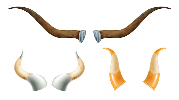 Set of horns of wild animals.