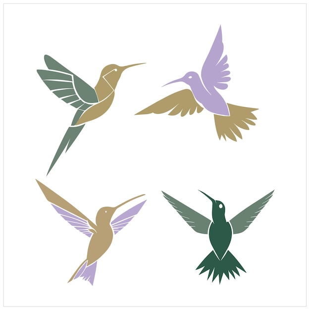 A set of hummingbirds with different colors and the word hummingbird on the bottom.