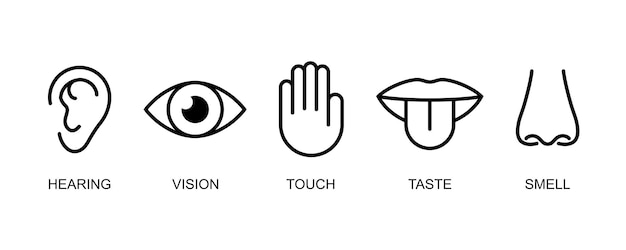 A set of icons of the five human senses hearing sight touch taste smell