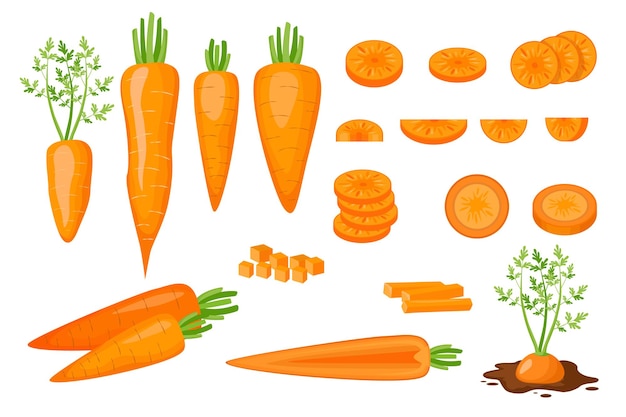 Set of Icons Raw Carrots Half, Sliced, Diced and Cut Into Strips and Slices. Fresh Organic and Healthy Vegetarian Vegetables Growing in Soil Isolated on White Background. Cartoon Vector Illustration