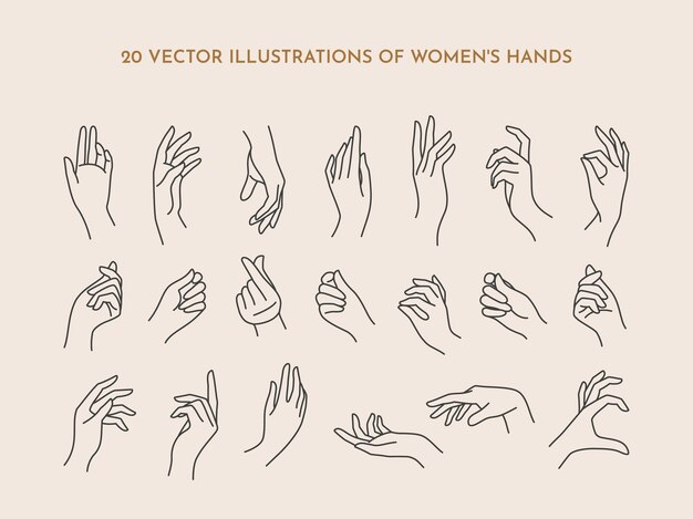 Vector a set of icons women's hands in a trendy minimal linear style. vector illustration of female hands with various gestures