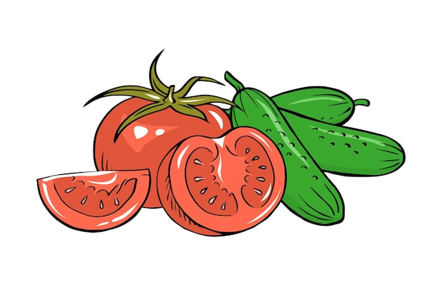 Set of illustration of tomato and cucumber