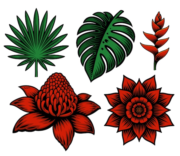 set of illustration of tropical flowers and plants