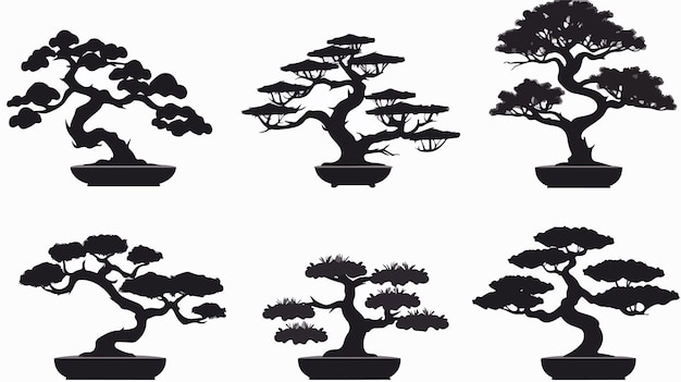 a set of images of bonsai trees