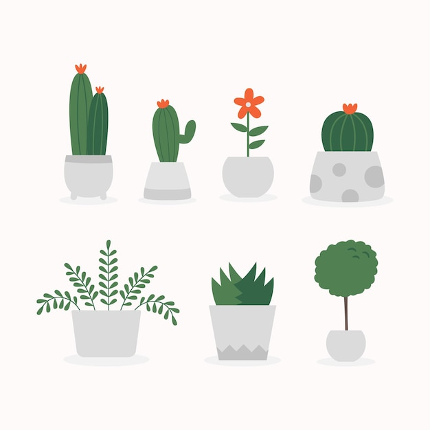 Set indoor succulent plants collection