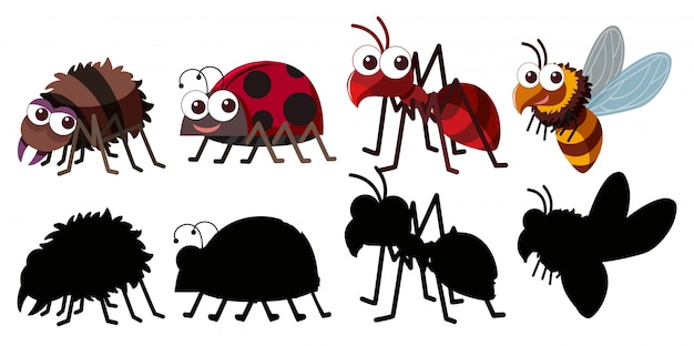 Set of insect character