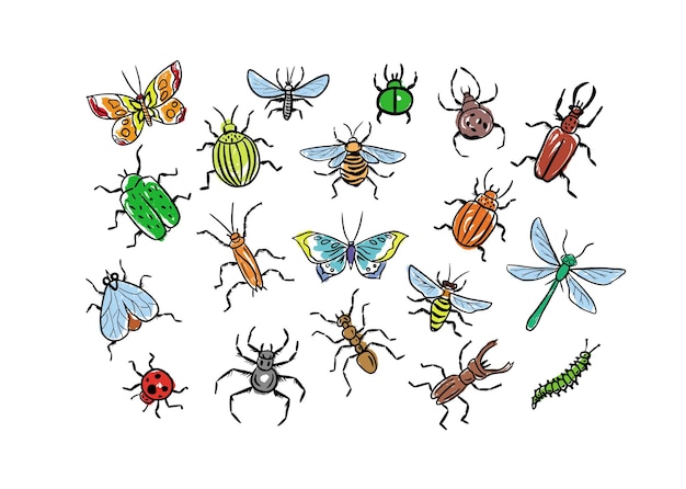 Set of insects in color drawn in doodle style Hand made Vector illustration