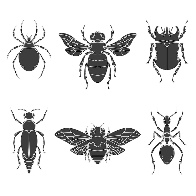 Vector set of insects illustrations  on white background.  elements for logo, label, emblem, sign.  illustration