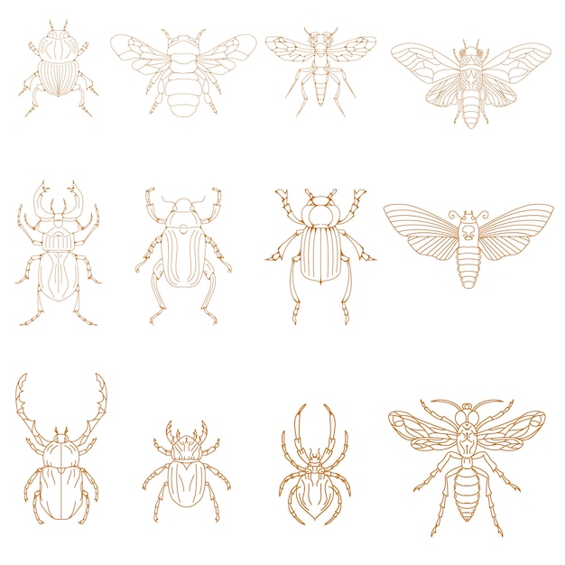 Set of Insects