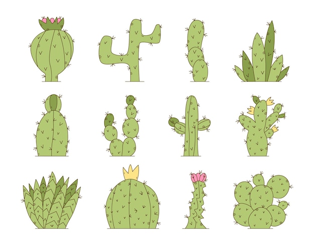 Set isolated cactus Collection of exotic mexican plants Green prickly cute cactus white background