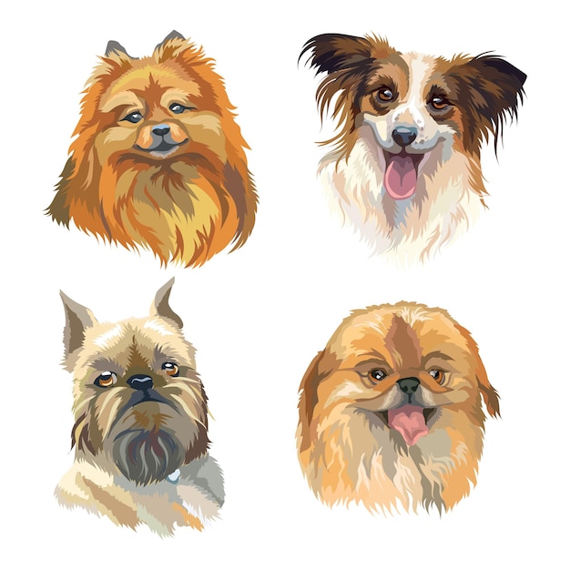 Set of isolated dog breeds heads papillon, pomeranian, brussels griffon, pekingese. Vector illustration.