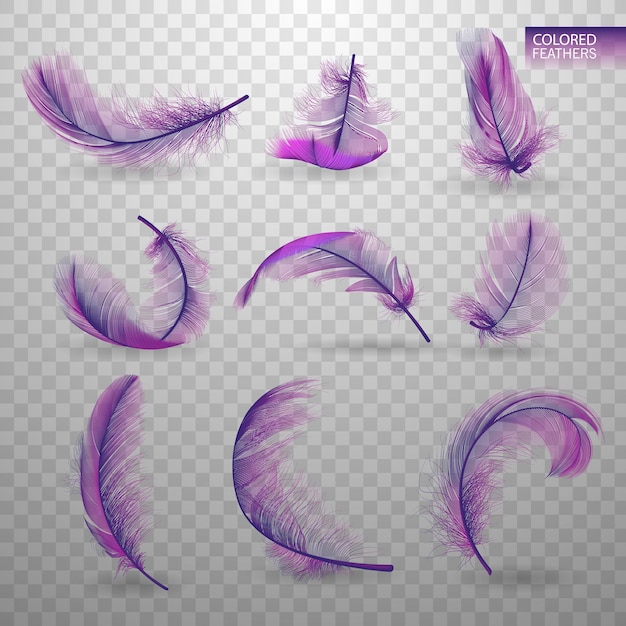 Set of isolated falling colored fluffy twirled feathers on transparent background in realistic style