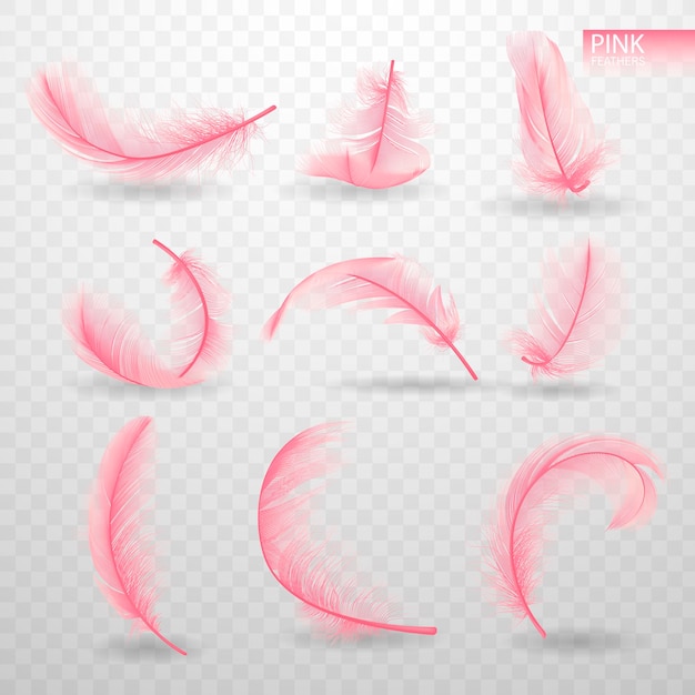 Set of isolated falling pink fluffy twirled feathers on transparent background in realistic style Light cute feathers design Elements for design Vector Illustration