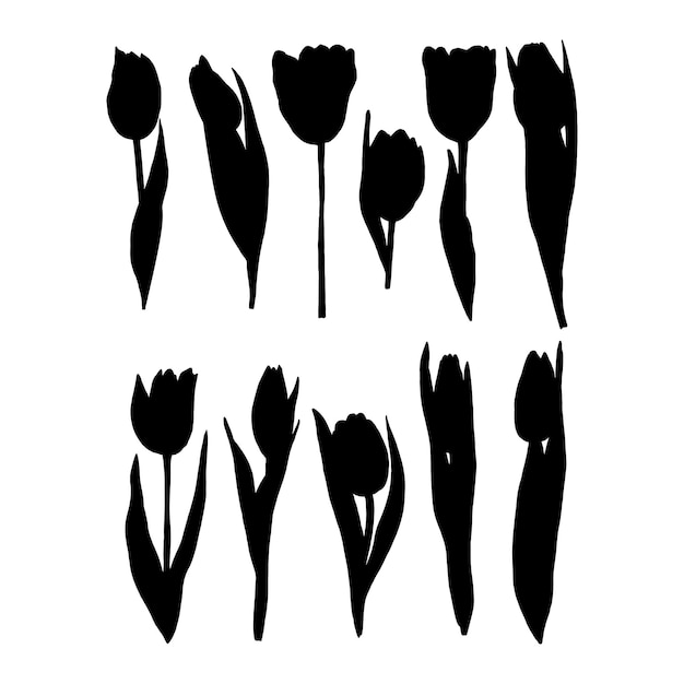 Set of isolated silhouettes of tulips Plants handdrawn ink Flowers leaves branches