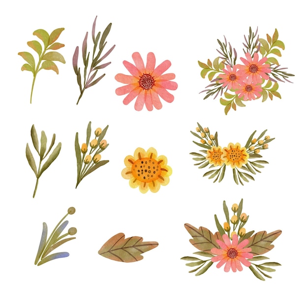 Set of isolated watercolor flower elements