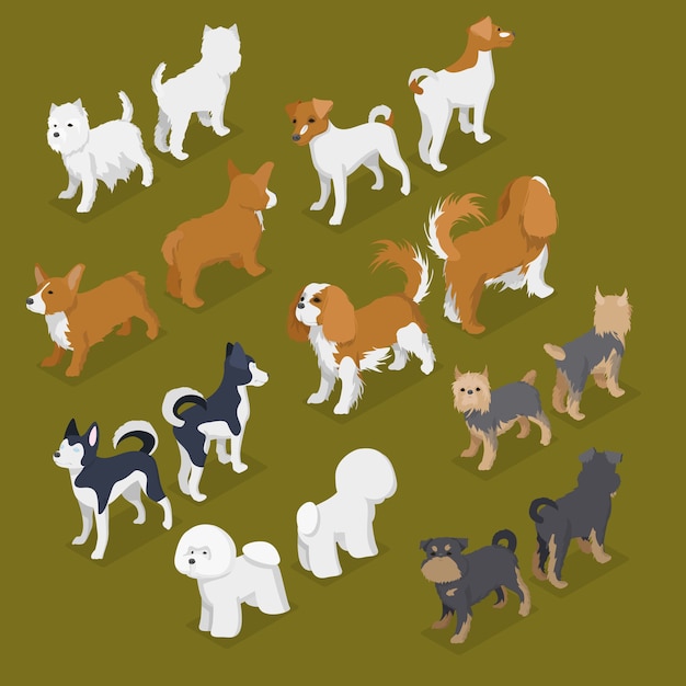 Set of Isometric Small Dog Breeds