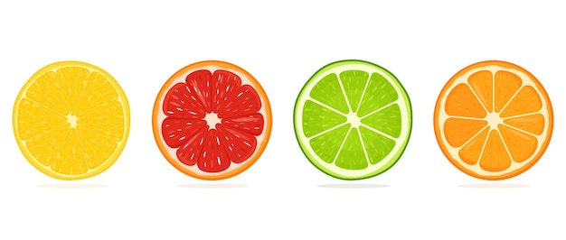 Set of juicy citrus slicesStock vector illustration Lemon orange grapefruit lime icons Bright colorful Isolated elements on white background For creative designs logos stickers