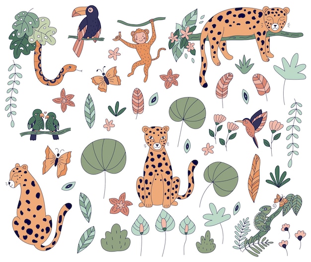 set of jungle animals flowers and plants