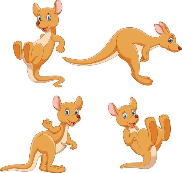 Set of kangaroo cartoon