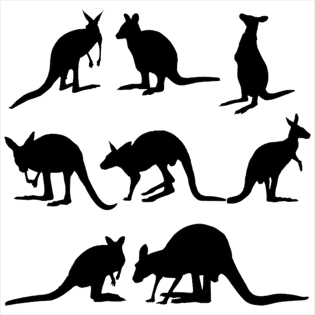 Set of kangaroo Silhouettes on a white background