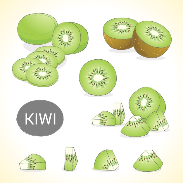 Set of kiwi fruit in various styles vector format