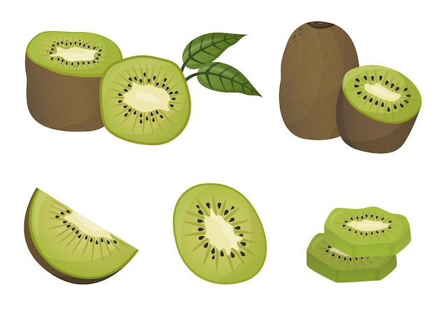 Set of kiwi with leaves Fruit in cartoon style illustration