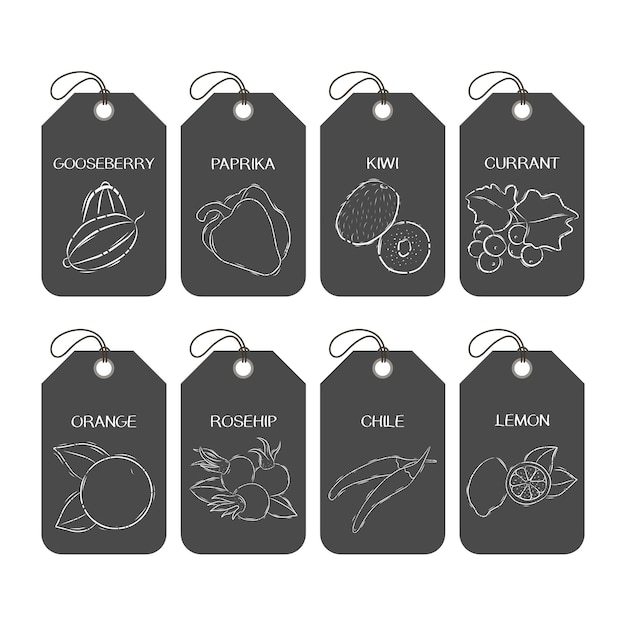 A set of labels or tag templates with drawn fruits, vegetables and berries. Vector design elements for agriculture and food industry. Outline illustration on a dark background.