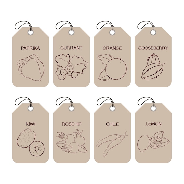 A set of labels or tag templates with drawn fruits, vegetables and berries. Vector design elements for agriculture and food industry. Outline illustration on a light background.