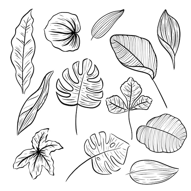 Set of leaf hand drawn line doodle aesthetic decoration