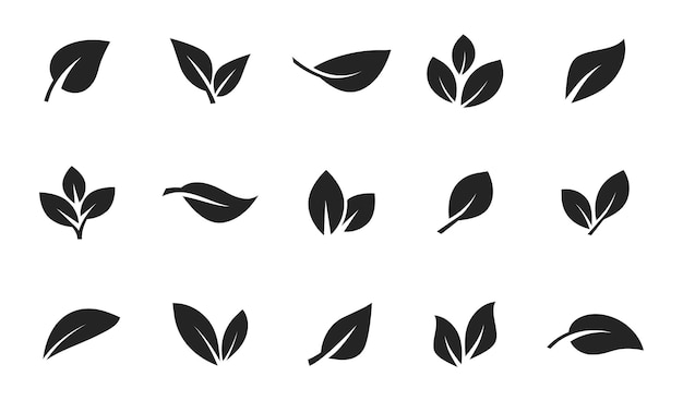 Set of leaf icons Leaves icon Leaves of trees and plants Collection green leaf Elements design for natural eco bio vegan labels Vector illustration