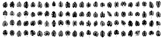 Set of leaf silhouette elements Collection of monstera silhouettes on isolated background