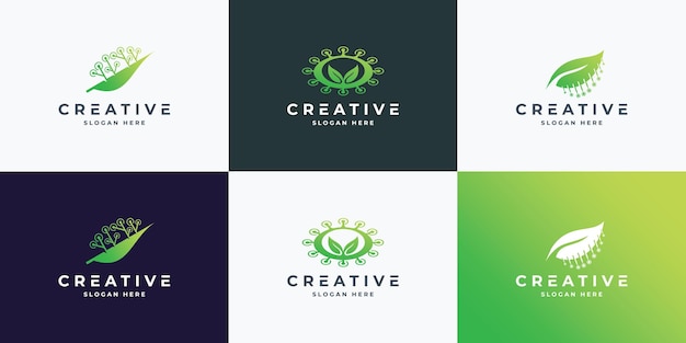 Set of Leaf tree logo design template with technology logo graphic design vector illustration