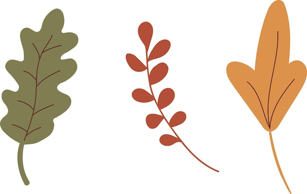 Set of leaves Autumn green red and yellow leaves Vector plants