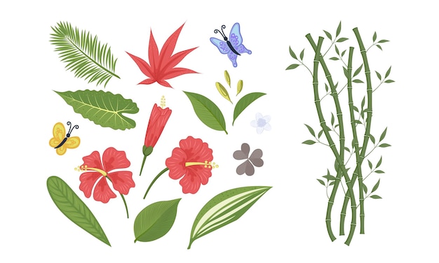 Set of leaves, bamboo, hibiscus flowers, butterflies in a flat style. Vector illustration EPS10.