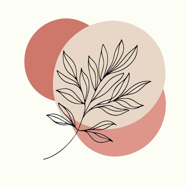 set leaves botanical illustration minimalist simple