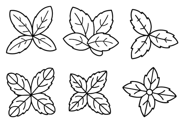 a set of leaves and flowers with different shapes and shapes