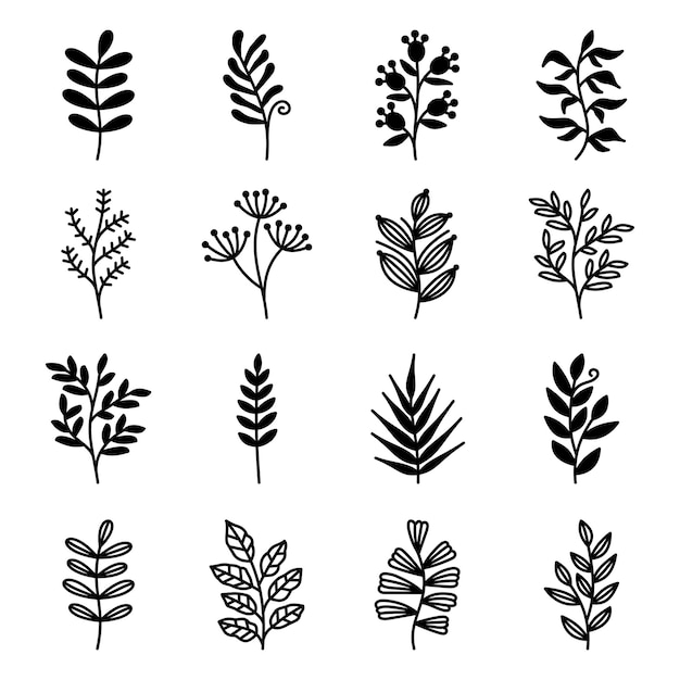 Set of leaves illustration vector