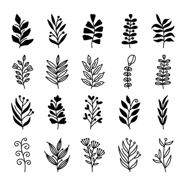 Set of leaves illustration vector