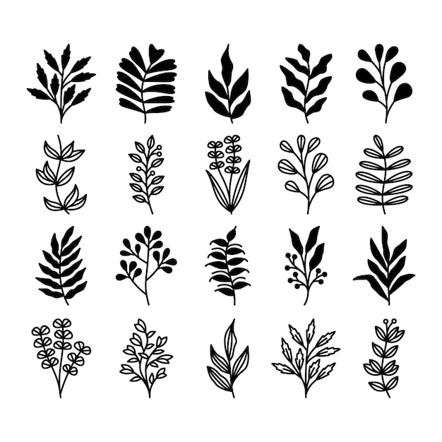 Set of leaves illustration vector