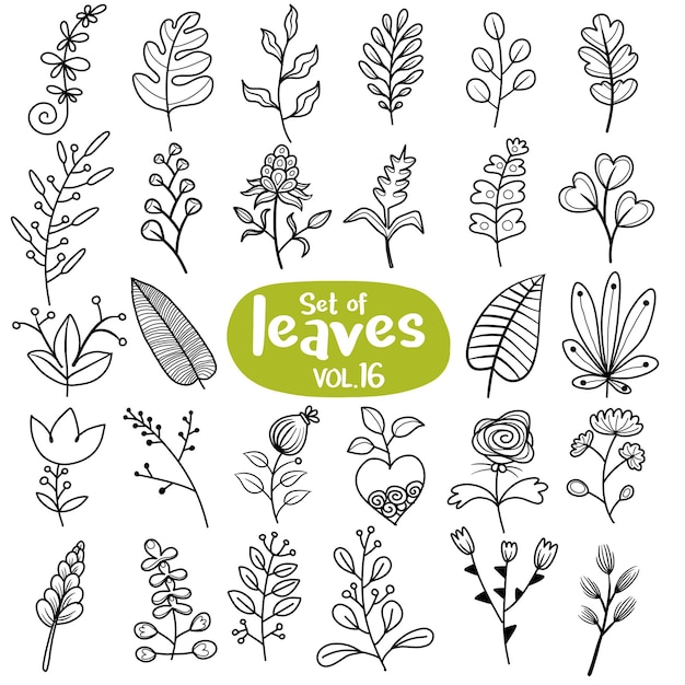 Set of leaves in a line style Decorative components drawn by hand Design blossom with ornamental beauty and elegance