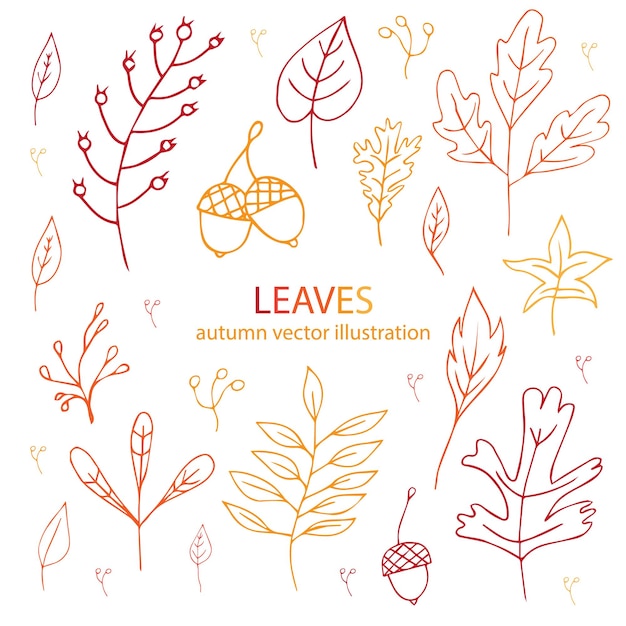 Set of leaves painted by hand. Vector illustration. Elements for autumn design