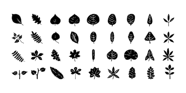 Set of leaves and plants